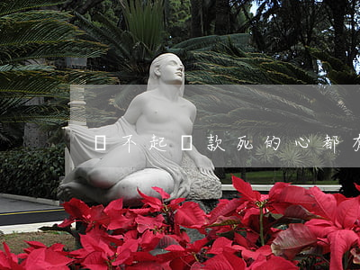 還不起貸款死的心都有 還不起貸款了怎么辦?