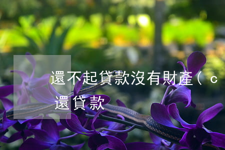 還不起貸款沒有財產(chǎn)-沒有錢還貸款