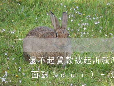 還不起貸款被起訴我應(yīng)該怎么面對(duì)-還不起貸款被起訴我應(yīng)該怎么面對(duì)他