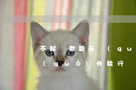 還不起貸款跑去國(guó)外(欠貸款跑到國(guó)外能行嗎)