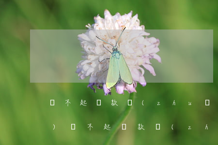 還不起貸款轉(zhuǎn)移債務(wù)(還不起貸款轉(zhuǎn)移債務(wù)怎么處理)