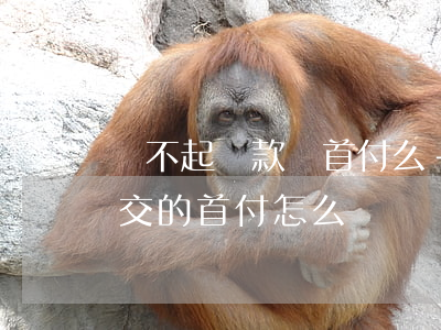 還不起貸款還首付么-如果貸款還不上之前交的首付怎么辦