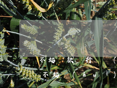 還不起貸款銀行凍結(jié)賬戶嗎(貸款還不起會(huì)凍結(jié)銀行卡么)
