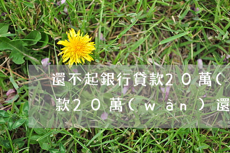 還不起銀行貸款20萬(wàn)(欠銀行貸款20萬(wàn)還不上會(huì)坐牢嗎)