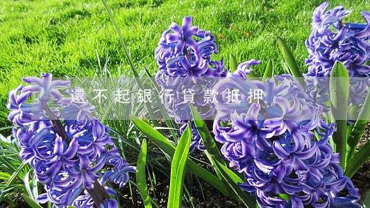 還不起銀行貸款抵押