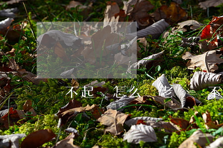 還不起錢怎么辦(老賴還不起錢怎么辦)