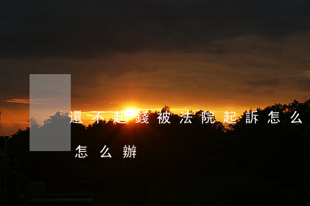 還不起錢被法院起訴怎么辦(被起訴還不上錢怎么辦)