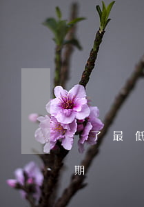 還了最低還款算逾期嗎6(還了最低還款算逾期嗎廣發(fā)信用卡)