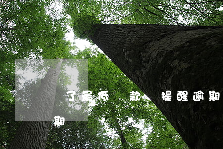 還了最低還款還提醒逾期(最低還款后顯示逾期)