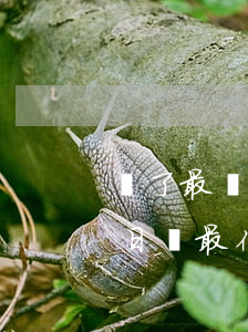 還了最優(yōu)還款算逾期嗎(最后還款日還最低額度算不算逾期)