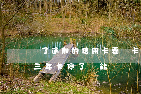 還了逾期的信用卡要銷卡嗎(我信用卡逾期了三年 卡停了 還能還錢嗎)