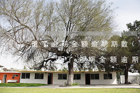還了逾期金額逾期期數(shù)還會增加嗎-還了逾期金額逾期期數(shù)還會增加嗎怎么辦