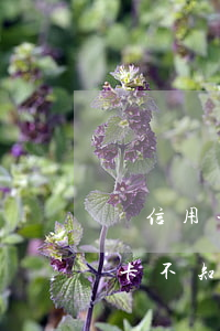 還信用卡不知道自己信用卡怎么辦-還信用卡不知道自己信用卡怎么辦理