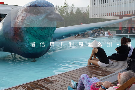 還信用卡利息怎么辦-還還信用卡