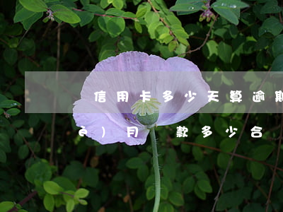 還信用卡多少天算逾期（信用卡逾期一個(gè)月還款多少合適）