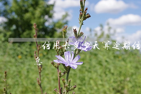 還信用卡多少天算逾期（信用卡逾期多久算利息）