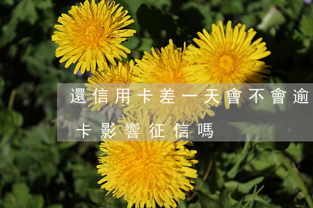還信用卡差一天會不會逾期(逾期一天還信用卡影響征信嗎)