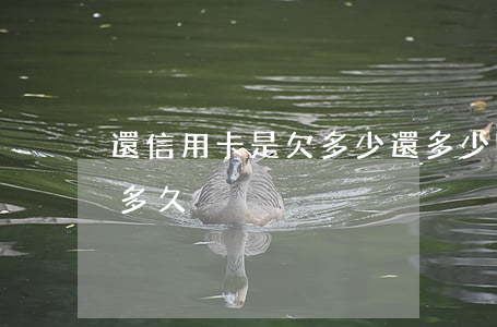 還信用卡是欠多少還多少嗎(還信用卡期限是多久)