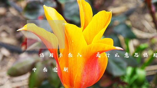 還信用卡未入賬是什么意思（信用卡顯示入帳中未逾期）