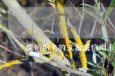 還信用卡的文案(還信用卡的文案)