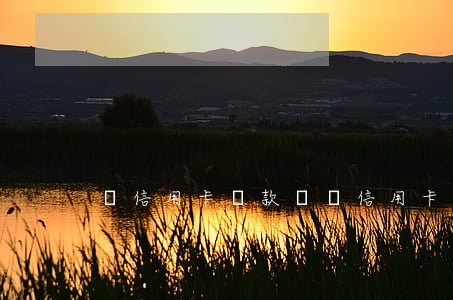 還信用卡貸款（貸還信用卡利息多少）