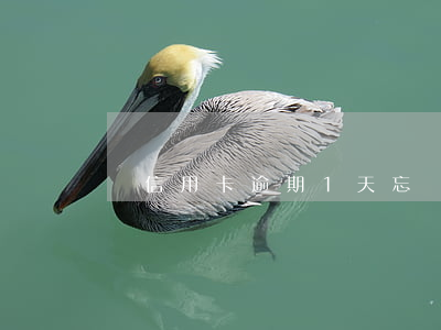 還信用卡逾期1天 忘記還信用卡逾期2天