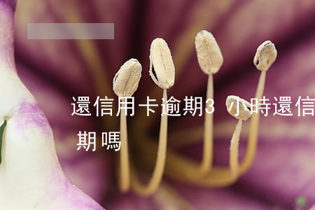 還信用卡逾期3小時(還信用卡晚了兩天算逾期嗎)