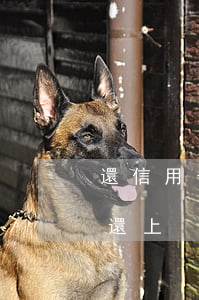 還信用卡逾期一天（信用卡逾期后被催款當天還上）