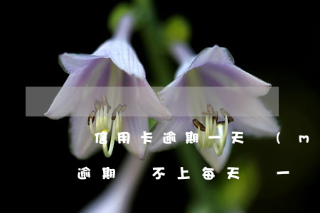 還信用卡逾期一天沒(méi)事吧（信用卡逾期還不上每天還一點(diǎn)）