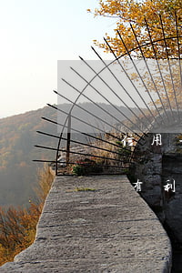 還信用卡逾期一天沒事吧（信用卡能逾期一天會有利息嗎）