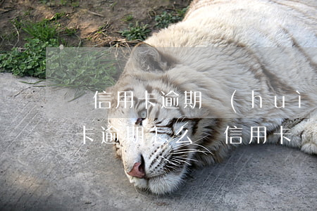還信用卡逾期會(huì)有什么后果（還貸卡逾期怎么辦信用卡）