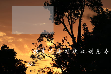 還信用卡逾期款收利息(各銀行信用卡逾期利息)