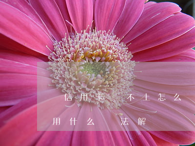 還信用卡還不上怎么辦(信用卡還不上怎么辦用什么辦法解決)