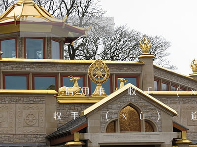 還信用卡還收手續(xù)費嗎（代還信用卡收手續(xù)費逾期）