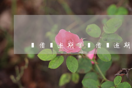 還借錢逾期了(還借錢逾期了)