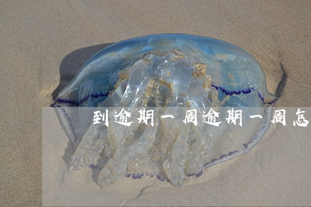 還到逾期一周(逾期一周怎么辦)