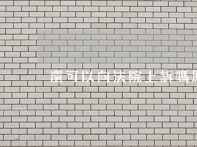 還可以向法院上訴嗎(原告可以提起上訴嗎)