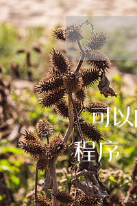 還可以向法院立案嗎(法院立案以后還有哪些程序)
