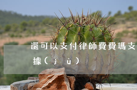 還可以支付律師費費嗎(支付律師費的法律依據(jù))