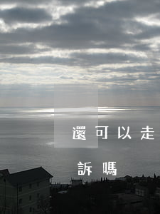 還可以走訴訟嗎(案子到了法院了,還可以不起訴嗎)