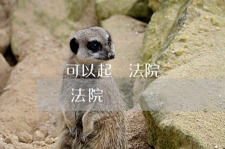 還可以起訴法院賠償嗎(國家賠償可以直接起訴法院嗎)