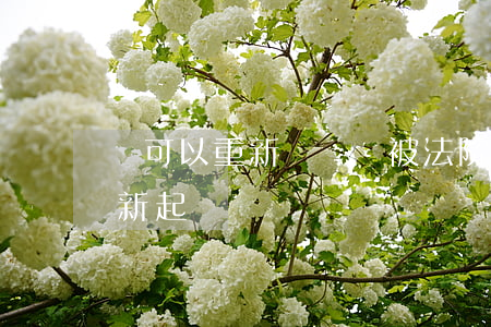 還可以重新訴訟嗎(被法院駁回的案件還能重新起訴嗎)