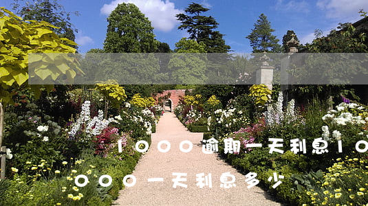 還唄1000逾期一天利息100-還唄1000一天利息多少