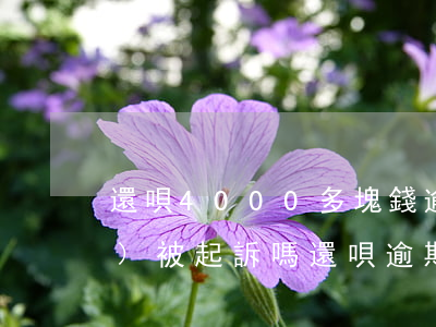 還唄4000多塊錢逾期了一年會(huì)被起訴嗎（還唄逾期40天說(shuō)是要起訴）