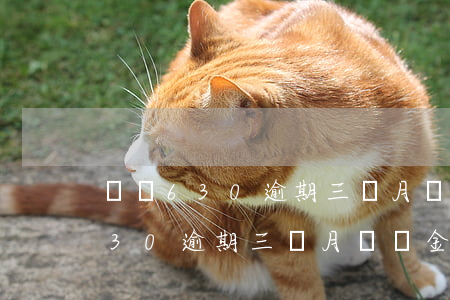 還唄630逾期三個月違約金多少-還唄630逾期三個月違約金多少呢