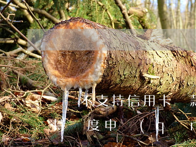 還唄不支持信用卡還款什么意思-還唄不支持額度申請(qǐng)