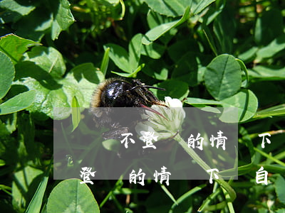 還唄不登錄的情況下會自動還款嗎-還唄不登錄的情況下會自動還款嗎安全嗎