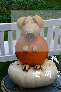 還唄信用卡不小心逾期了怎么辦-花唄借唄逾期了還能申請(qǐng)信用卡嗎