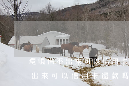 還唄借不出來可以信用卡還款嗎-還唄借不出來可以信用卡還款嗎怎么辦