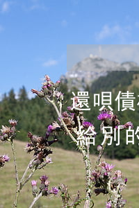 還唄債權(quán)轉(zhuǎn)讓給別的公司怎么還款-還唄債權(quán)轉(zhuǎn)讓給別的公司怎么還款呢